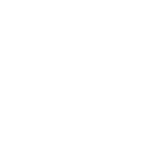 Skriper